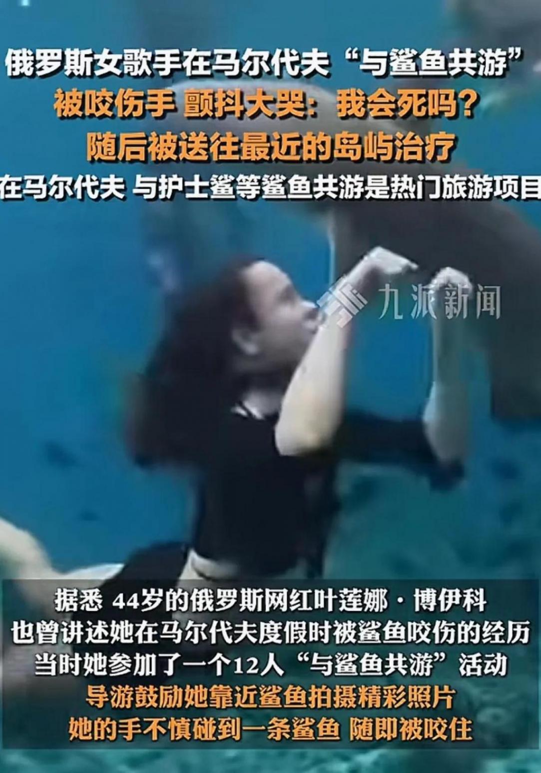 女歌手与鲨鱼共游被咬伤