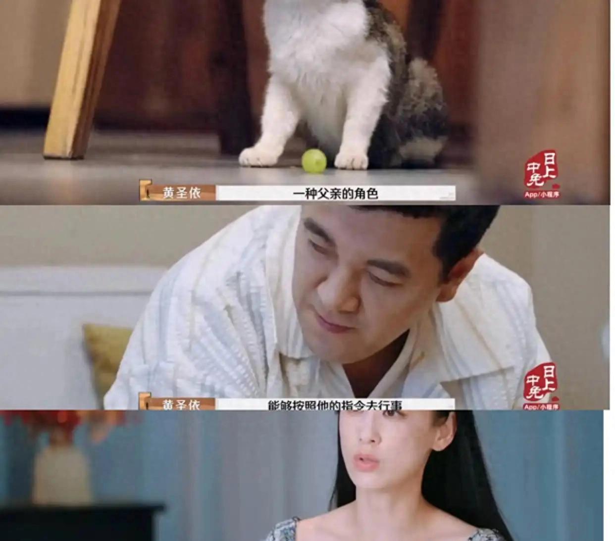 杨子演西门庆 轮到章子怡工伤